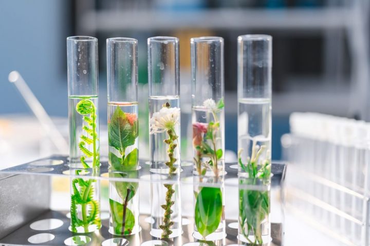 How Do Laboratories Become Sustainable?