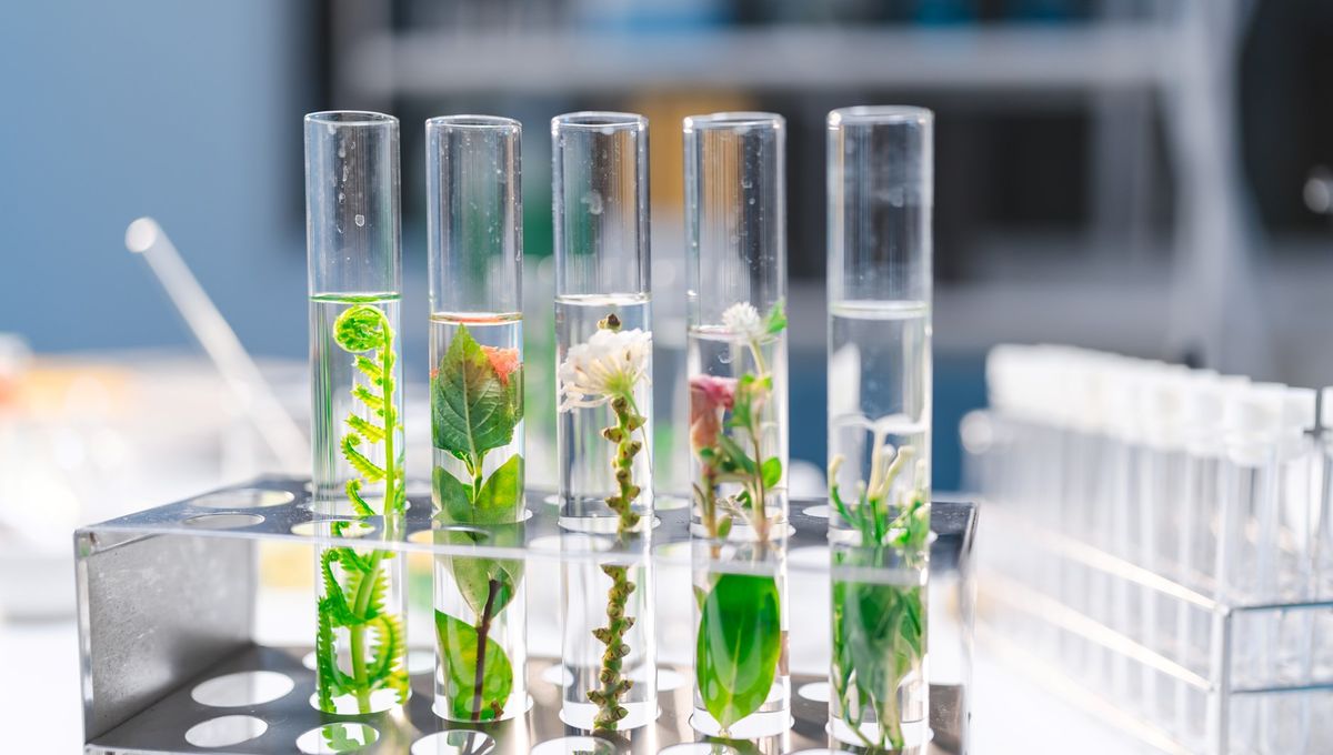 How Do Laboratories Become Sustainable?
