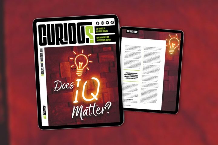 Does IQ Matter? Discover More in Issue 16 of CURIOUS – Out Now