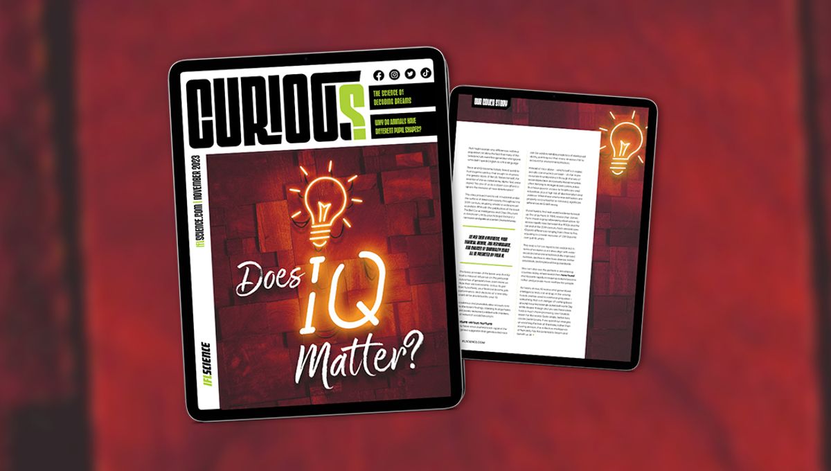 Does IQ Matter? Discover More in Issue 16 of CURIOUS – Out Now