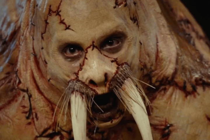 Celebrating a Decade of ‘Tusk’s’ Absurdity: “I Don’t Wanna Die in Canada!”
