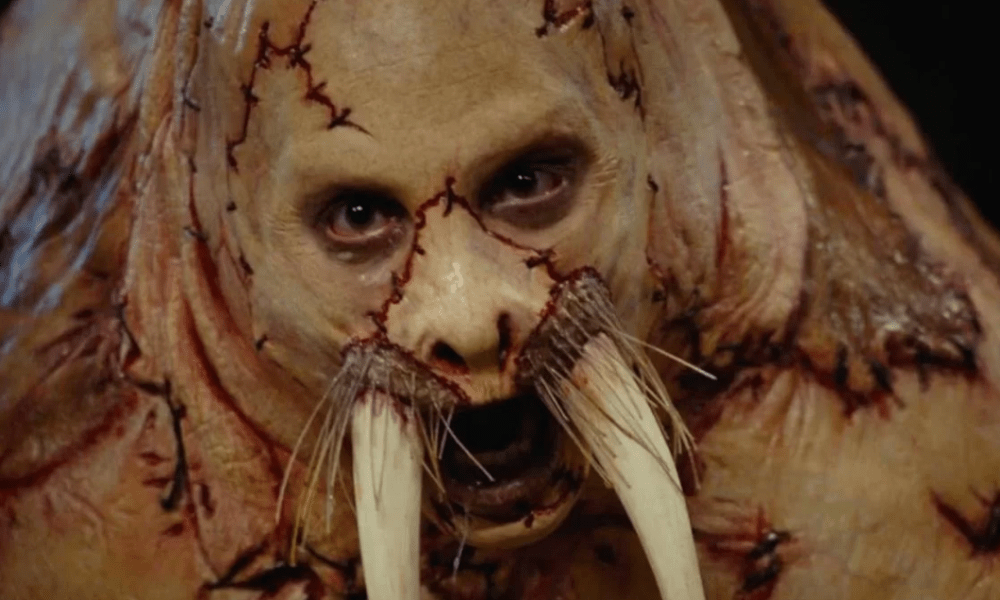 Celebrating a Decade of ‘Tusk’s’ Absurdity: “I Don’t Wanna Die in Canada!”