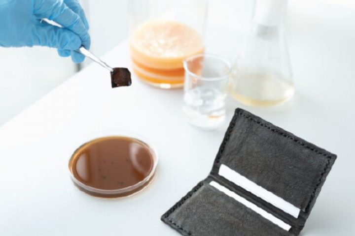 Bacteria-Grown Vegan Leather Shoe and Wallet with Self-Dyeing Feature Unveiled
