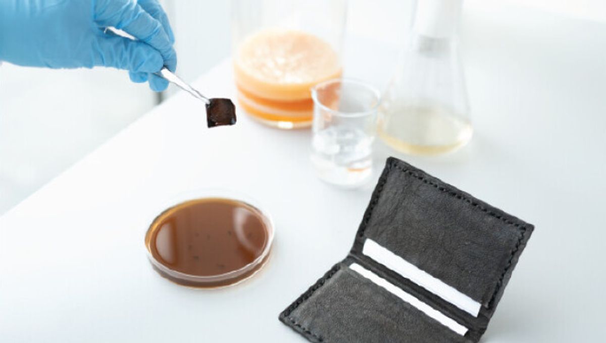 Bacteria-Grown Vegan Leather Shoe and Wallet with Self-Dyeing Feature Unveiled