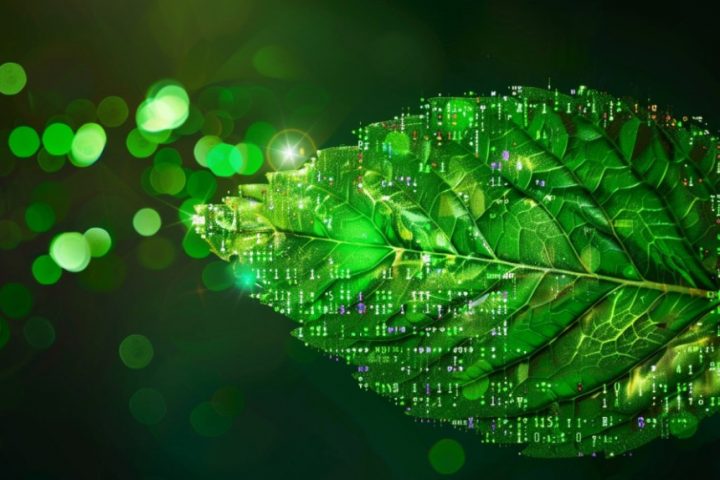 Salesforce’s MINT-1T Dataset Poised to Revolutionize the AI Industry