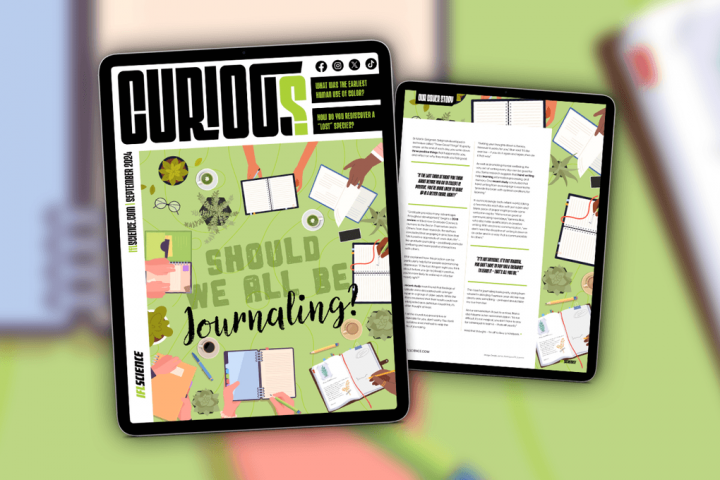 Issue 26 of CURIOUS Explores the Benefits of Journaling for Everyone