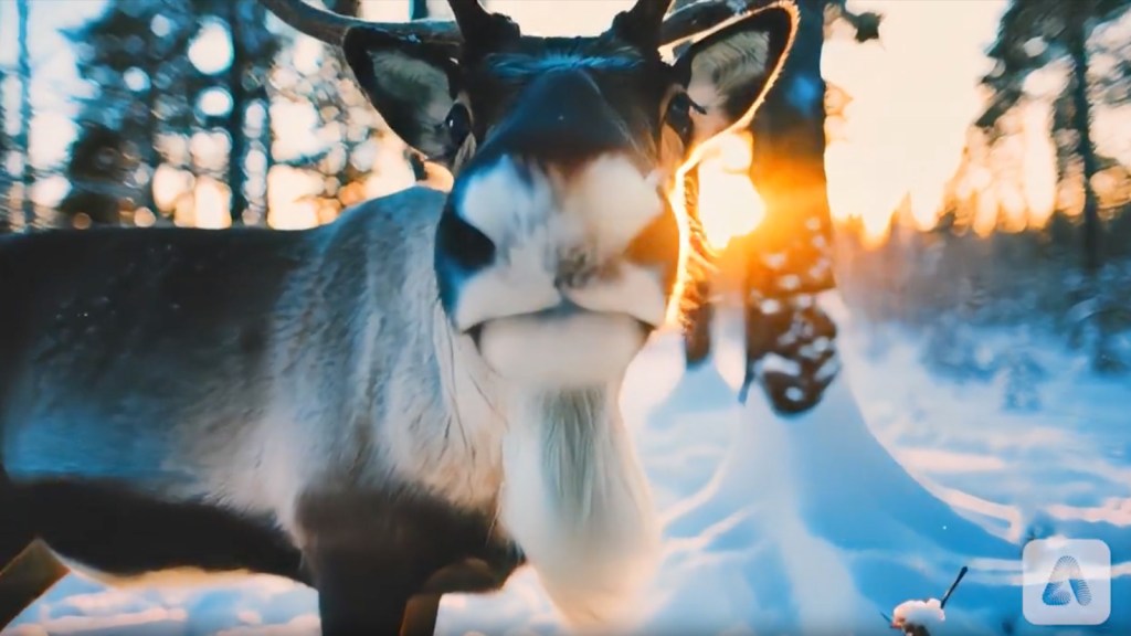 Adobe Unveils Preview of Firefly Video AI Model for High-Quality Generations