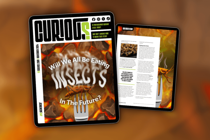 Issue 28 of CURIOUS Explores the Possibility of Insects as Future Food Source