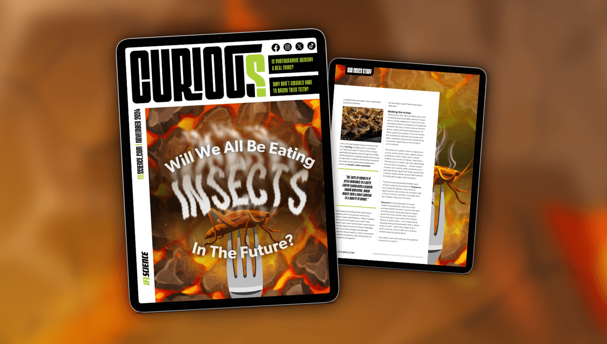 Issue 28 of CURIOUS Explores the Possibility of Insects as Future Food Source